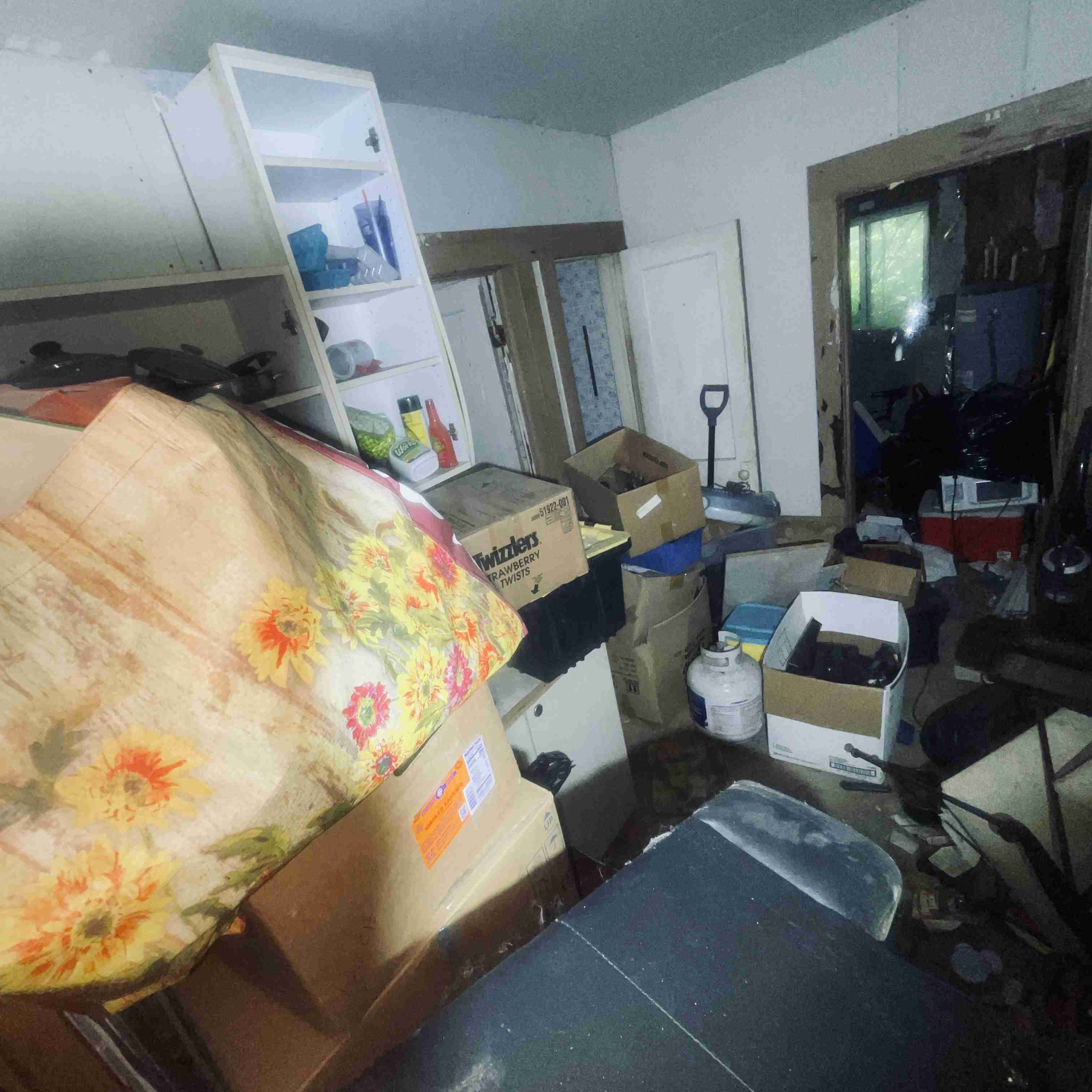 7528 Sarena (39).jpg